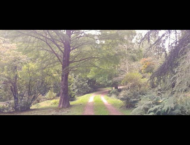 FARM FOR SALE IN HOGSBACK